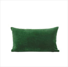 Load image into Gallery viewer, Misi velvet cushions
