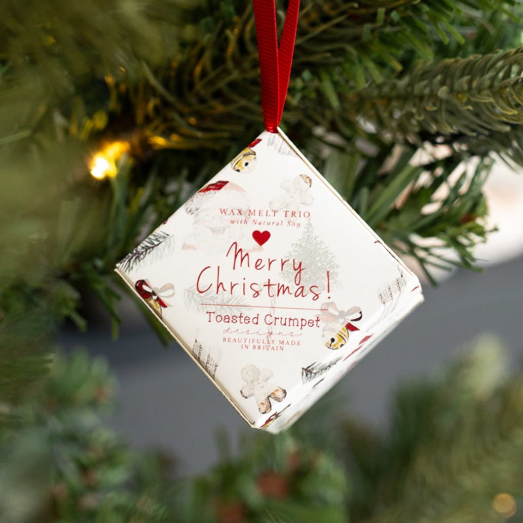 Xmas all things jolly soy wax melts hanging dec