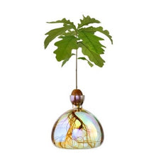 Load image into Gallery viewer, Acorn vases - various colours available
