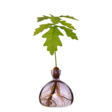 Load image into Gallery viewer, Acorn vases - various colours available
