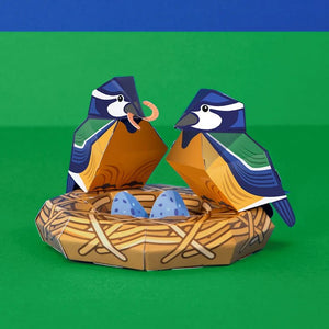 Create your own beautiful blue tit nest