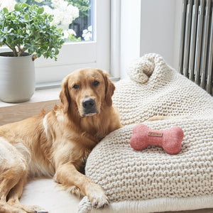 Dog toy - orange tweed bone - small