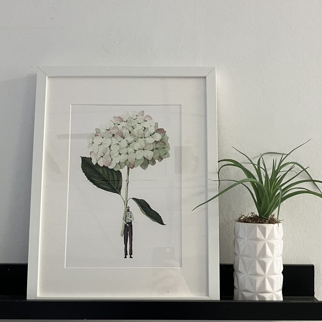 Hydrangea green 'In Bloom' mounted print