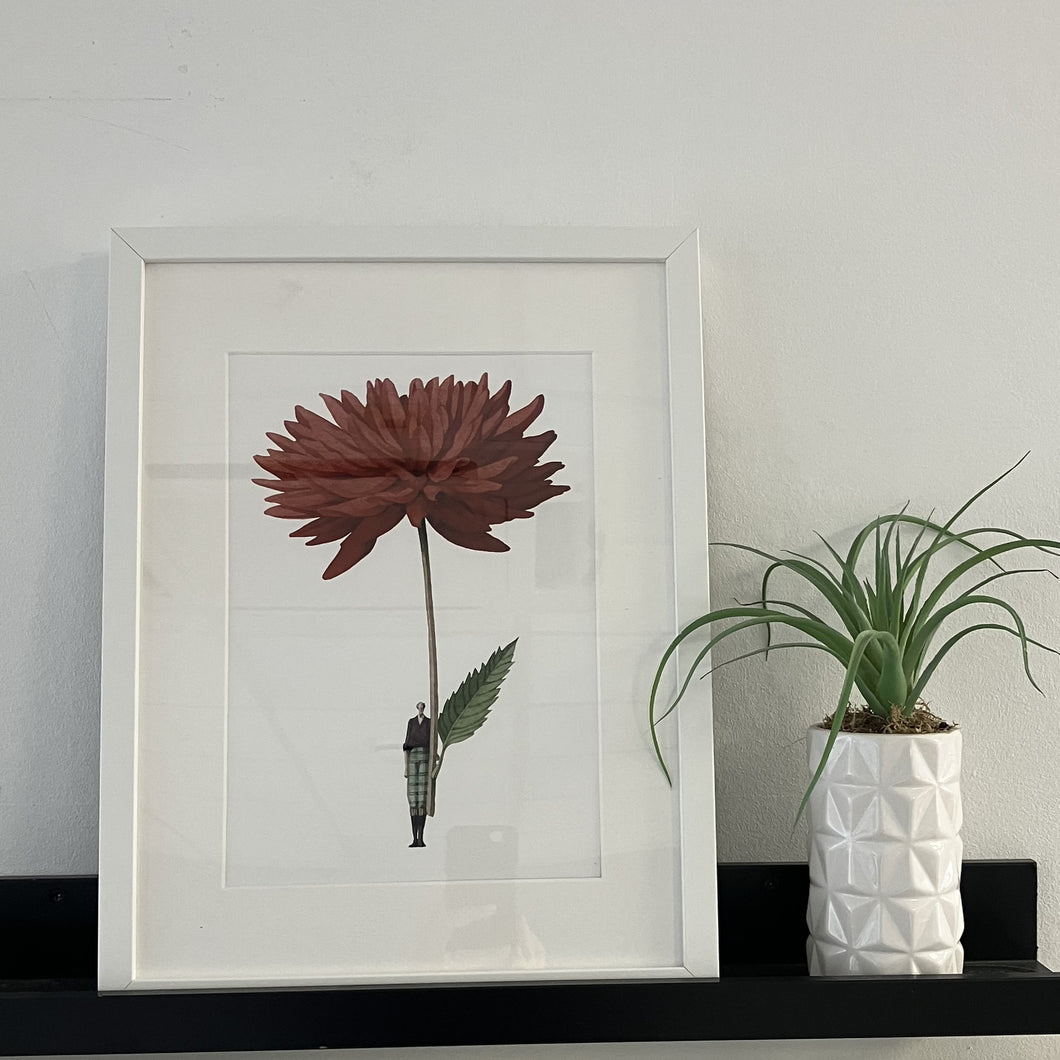 Dahlia red 'In Bloom' mounted print