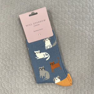 Cute kitten socks - denim