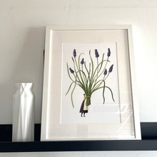 Load image into Gallery viewer, Spring flowers muscari mounted print
