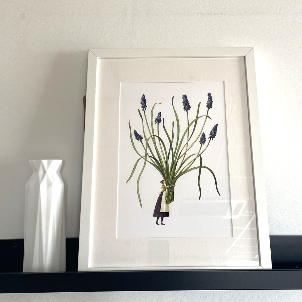 Spring flowers muscari mounted print