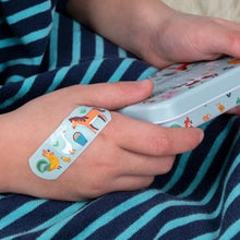 Load image into Gallery viewer, Kids plasters pack - wild wonders
