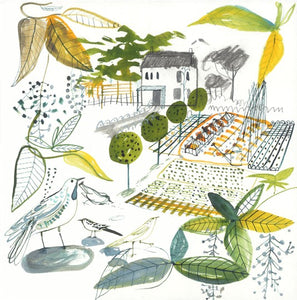 Kitchen garden framed print