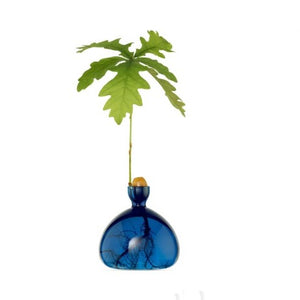 Acorn vases - various colours available
