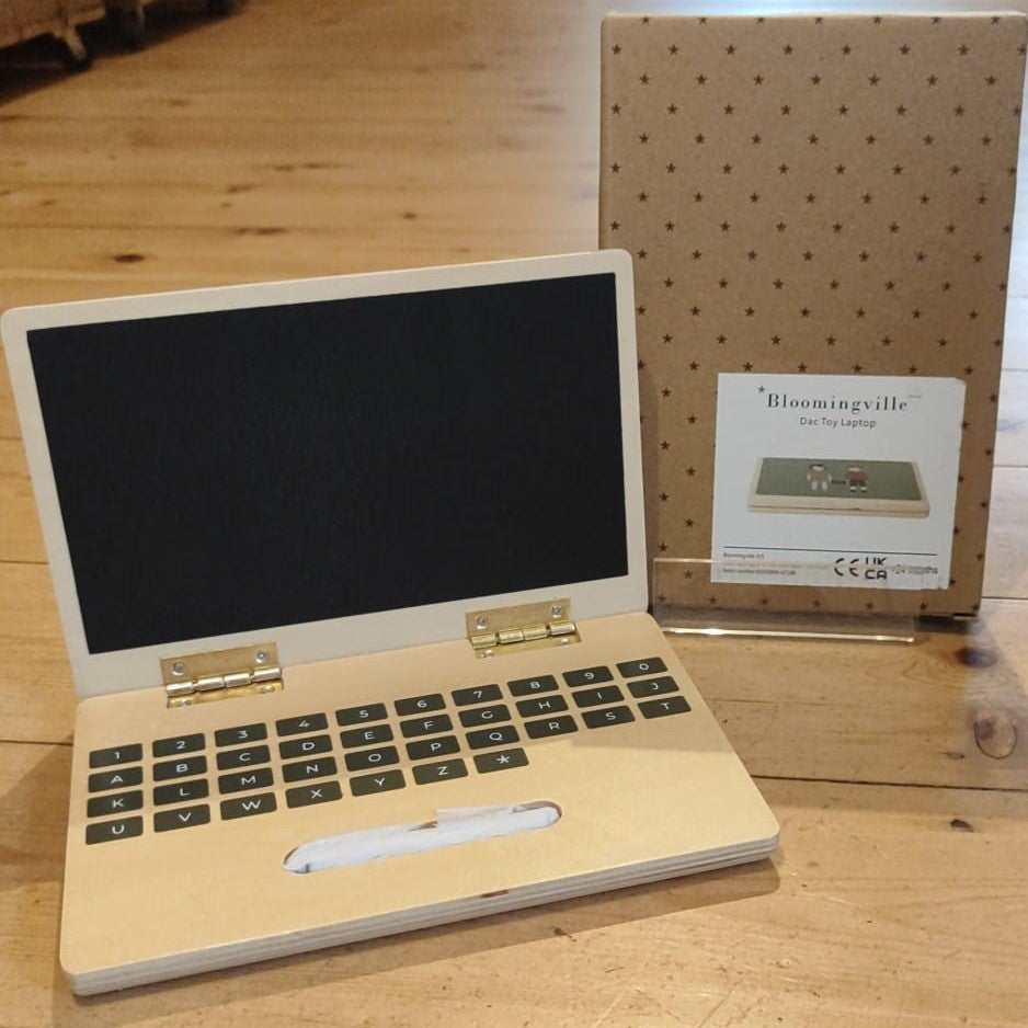 Dac toy laptop