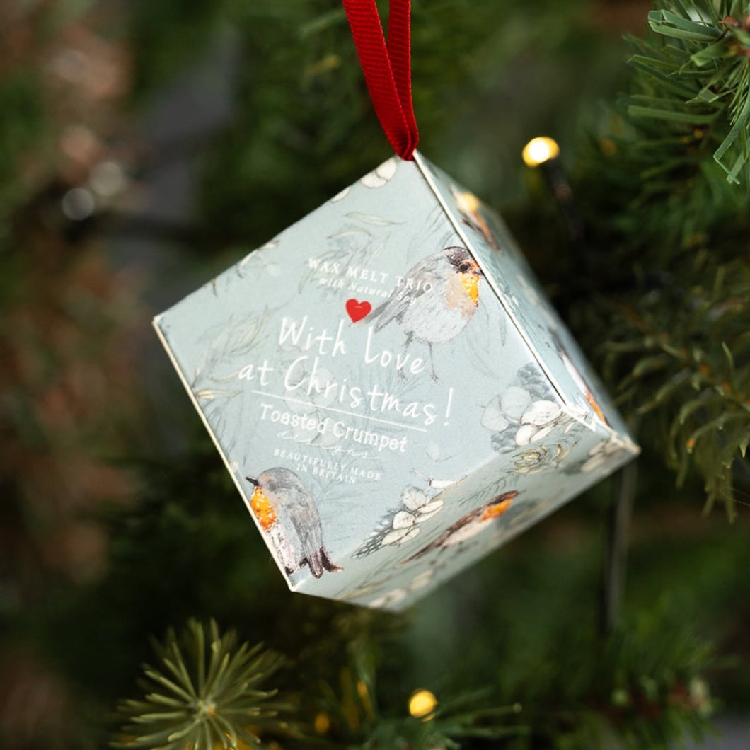 Xmas robin & eucalyptus soy wax melts hanging dec