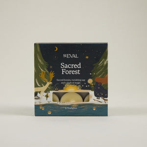 Sacred forest scented tin candle
