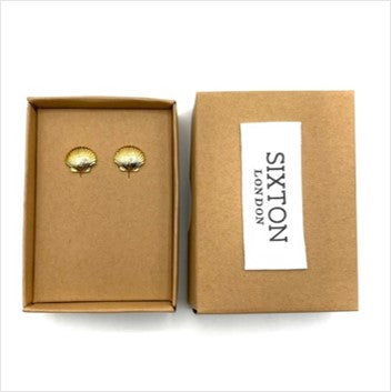 Shell earrings