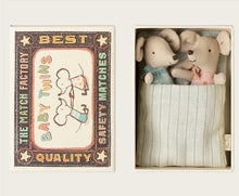 Load image into Gallery viewer, Baby mice - twins in box
