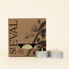 Load image into Gallery viewer, Diffuser - walled garden
