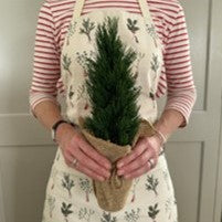 Christmas apron