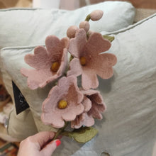 Load image into Gallery viewer, Hollyhock - various colours

