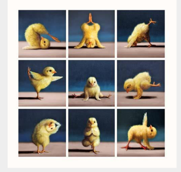 Chicks different poses card