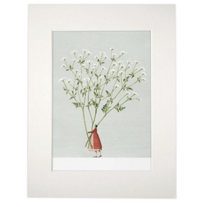 Cow parsley mounted print
