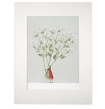 Cow parsley mounted print