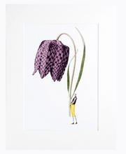 Load image into Gallery viewer, Fritillary &#39;In Bloom&#39; mounted print
