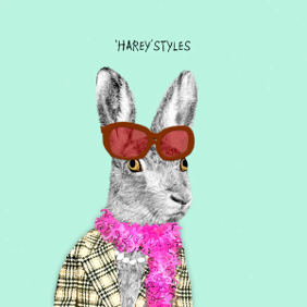 Funny card 'Harey Styles'