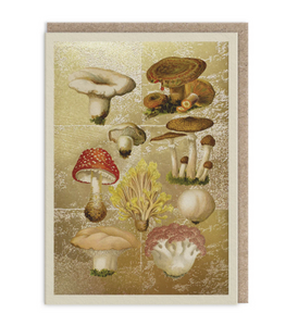 Fungi collection greeting card