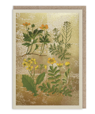 Wild marsh flower greeting card