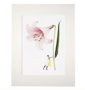 Pink lily 'In bloom' mounted print