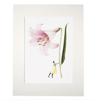 Pink lily 'In bloom' mounted print