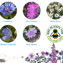 Load image into Gallery viewer, Thank you seed boxes

