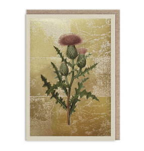 Thistle greeting card