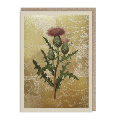 Thistle greeting card