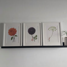 Load image into Gallery viewer, Mounted print - ammi &#39;in bloom&#39;
