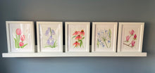 Load image into Gallery viewer, Agapanthus blue original watercolour framed painting
