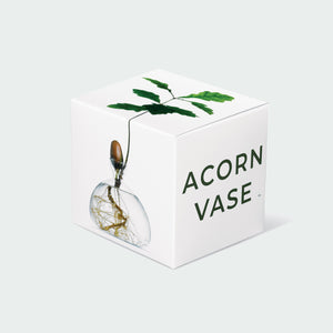 Acorn vases - various colours available