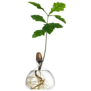 Acorn vases - various colours available