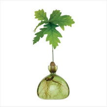 Load image into Gallery viewer, Acorn vases - various colours available
