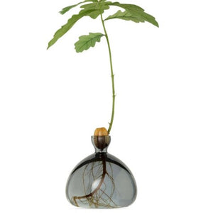 Acorn vases - various colours available