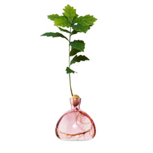 Load image into Gallery viewer, Acorn vases - various colours available
