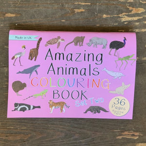 A colouring book matches the amazing animals fact cards set two we also have available by Button & Squirt.  It features 35 amazing unusual animals to colour, perfect to keep in a bag for when you're out and about.