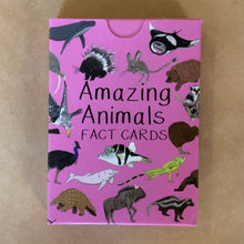 Load image into Gallery viewer, Learn about animals from all over the world with these beautifully illustrated cards by Button &amp; Squirt, full of fun facts and perfect for rainy days and on the move.
