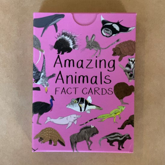 Learn about animals from all over the world with these beautifully illustrated cards by Button & Squirt, full of fun facts and perfect for rainy days and on the move.