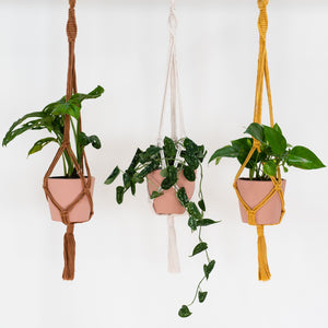 Macramé plant hanging kits