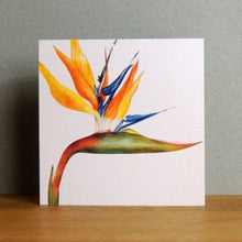 Load image into Gallery viewer, Bird of paradise card
