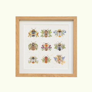 The British Collection - bee framed print