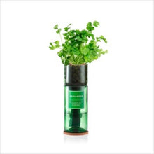 Load image into Gallery viewer, Hydro-herb kits - various herbs
