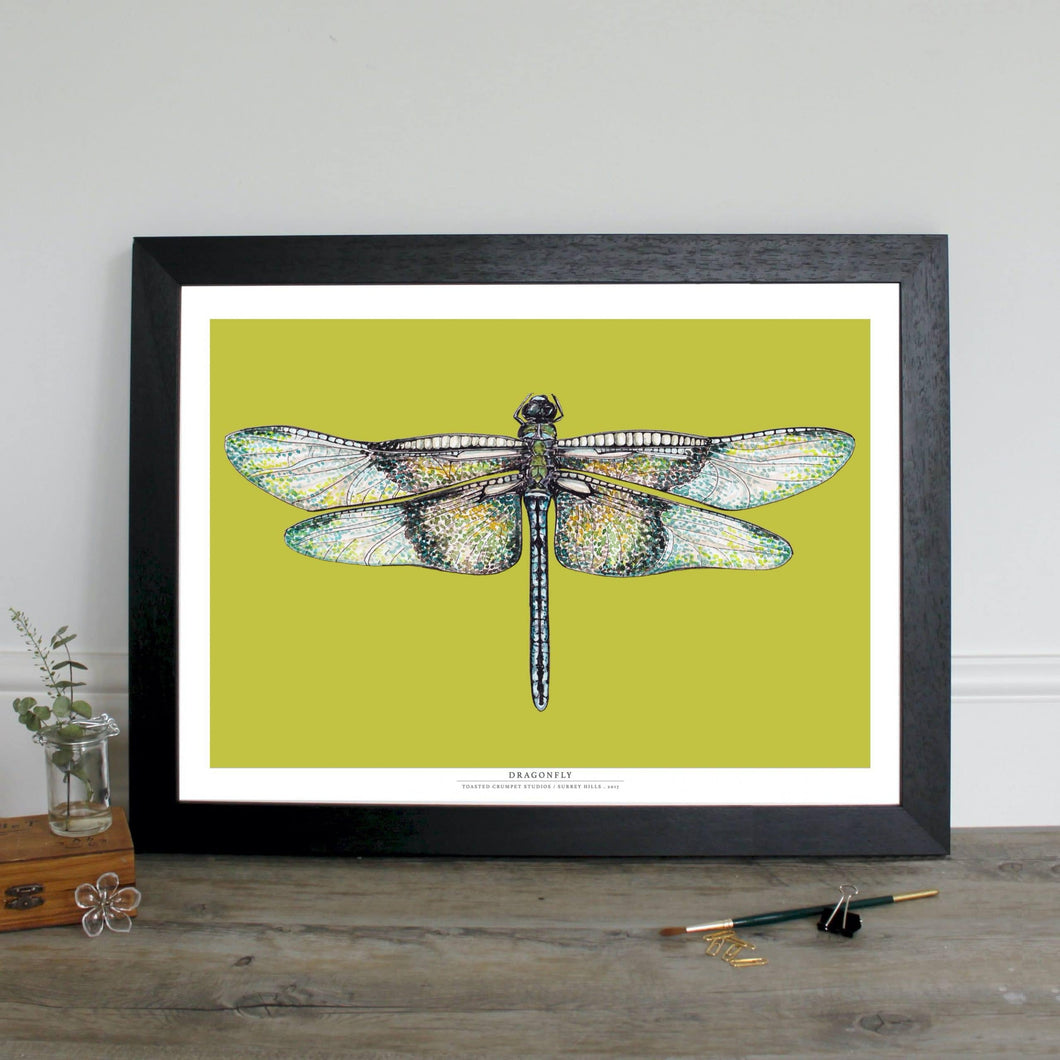 Dragonfly - digital print