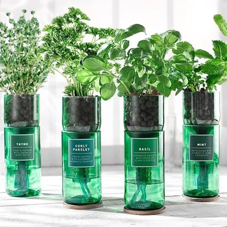 Hydro-herb kits - various herbs